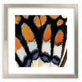 Textured art depicting a close-up of an animal in abstract style, using deep blue and gray tones, framed in silver.