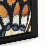 Close-up of a black textured canvas featuring a colorful butterfly, ideal for extra large living room wall art.