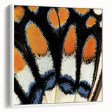 Vintage poster art featuring a close-up of a colorful bird on a black background, printed on a large framed canvas.