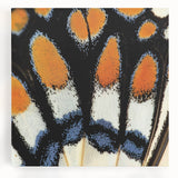 Black and white close-up photo of a zebra on stretched canvas, suitable for kitchen wall art.