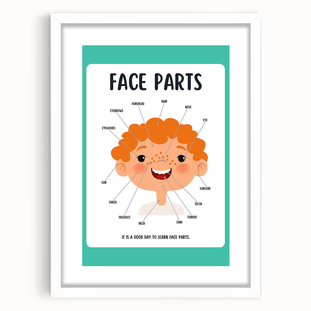 Kids Educational Wall Art - Face Parts Learning Poster