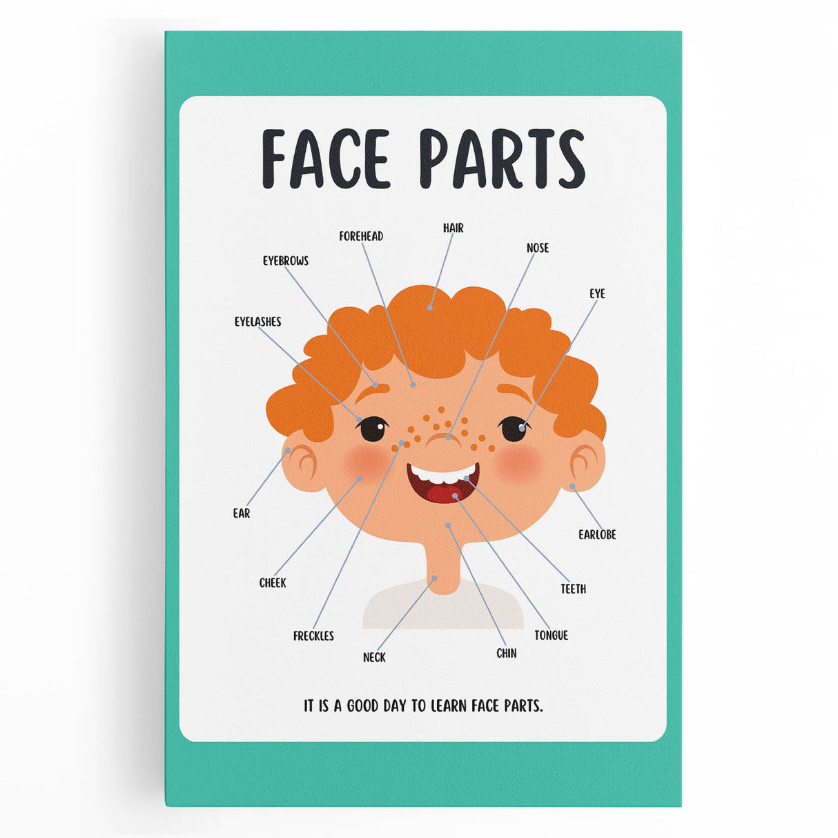 Kids Educational Wall Art - Face Parts Learning Poster