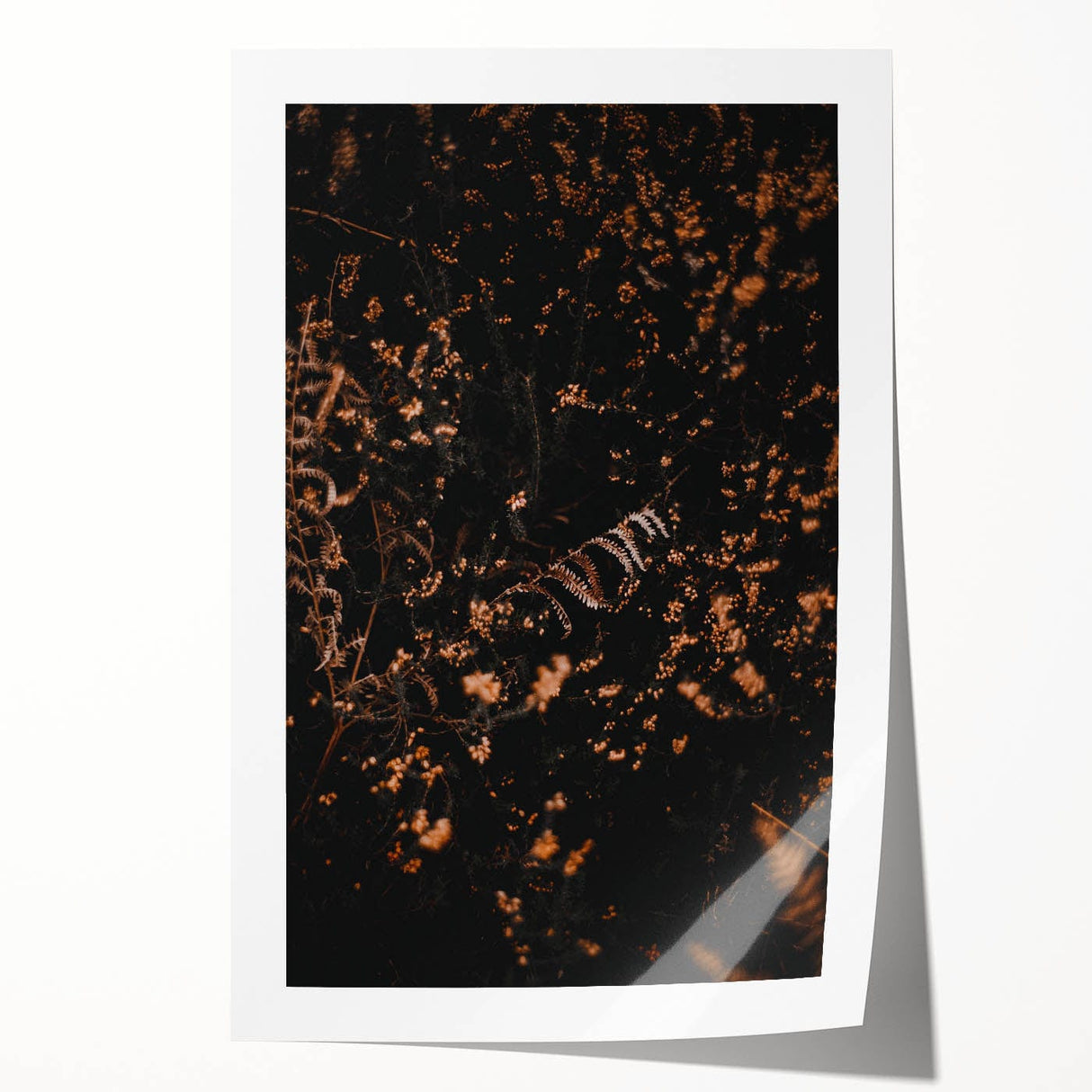 Extra large rolled print of autumnal floral art in warm hues, suitable for art wall dining room or bathroom.