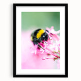 Extra large abstract art print featuring textured, colorful swirls, framed in black, ideal for living room decor.