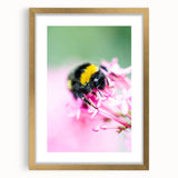 Abstract art print featuring textured spring-themed colors in a gold frame, ideal for extra large wall art in a living room.