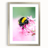 Textured abstract art print of spring, featuring soft green and white colors on a silver framed canvas.