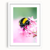 Abstract art print featuring swirling pastel colors on a white framed canvas, ideal for dining room decor.