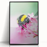Large abstract wall art featuring spring-themed colors on black framed acrylic, ideal for modern art wall decor.