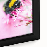 Close-up of a framed canvas featuring a black background with textured, colorful abstract shapes.