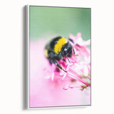 Vintage poster art of spring season on extra large framed canvas, featuring colorful flora against a black background.