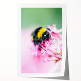 Extra large rolled canvas print featuring a vibrant floral design, ideal for art wall dining room.
