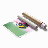 Extra large rolled print featuring spring floral art in pastel shades.