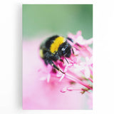 Black and white abstract design on large stretched canvas, featuring swirling patterns, ideal for kitchen wall art.