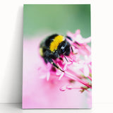 Large black and white canvas featuring a minimalist spring tree design, ideal for kitchen wall art or bedroom ambiance.