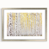 Canvas Art for Dining Area – Serene Birch Tree Forest Wall Decor