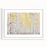 Canvas Art for Dining Area – Serene Birch Tree Forest Wall Decor