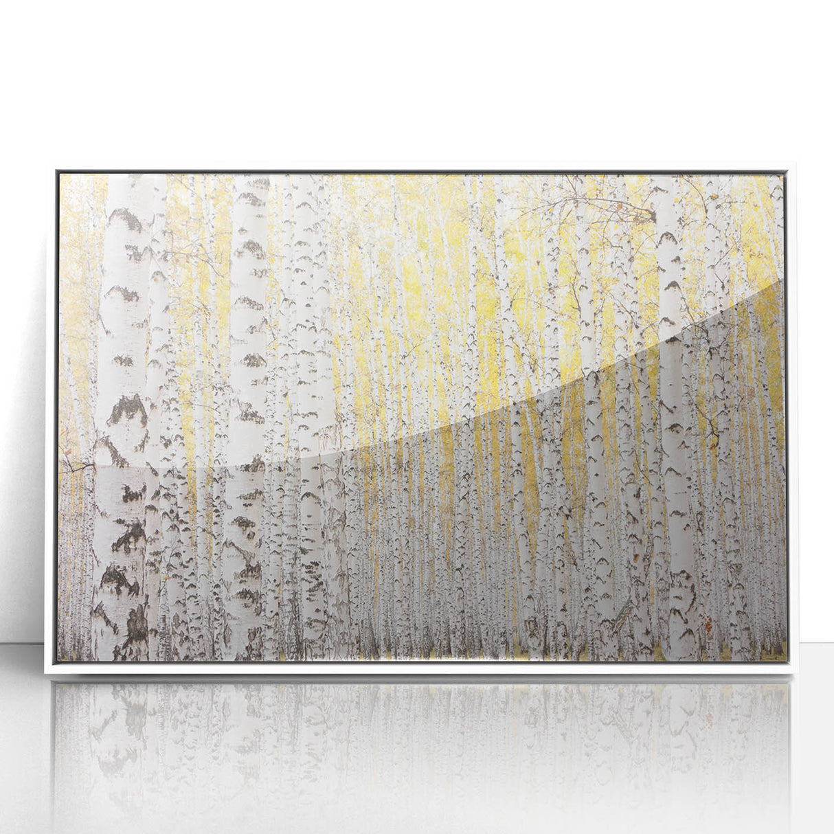 Canvas Art for Dining Area – Serene Birch Tree Forest Wall Decor