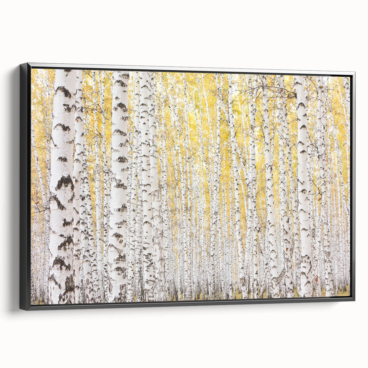 Canvas Art for Dining Area – Serene Birch Tree Forest Wall Decor