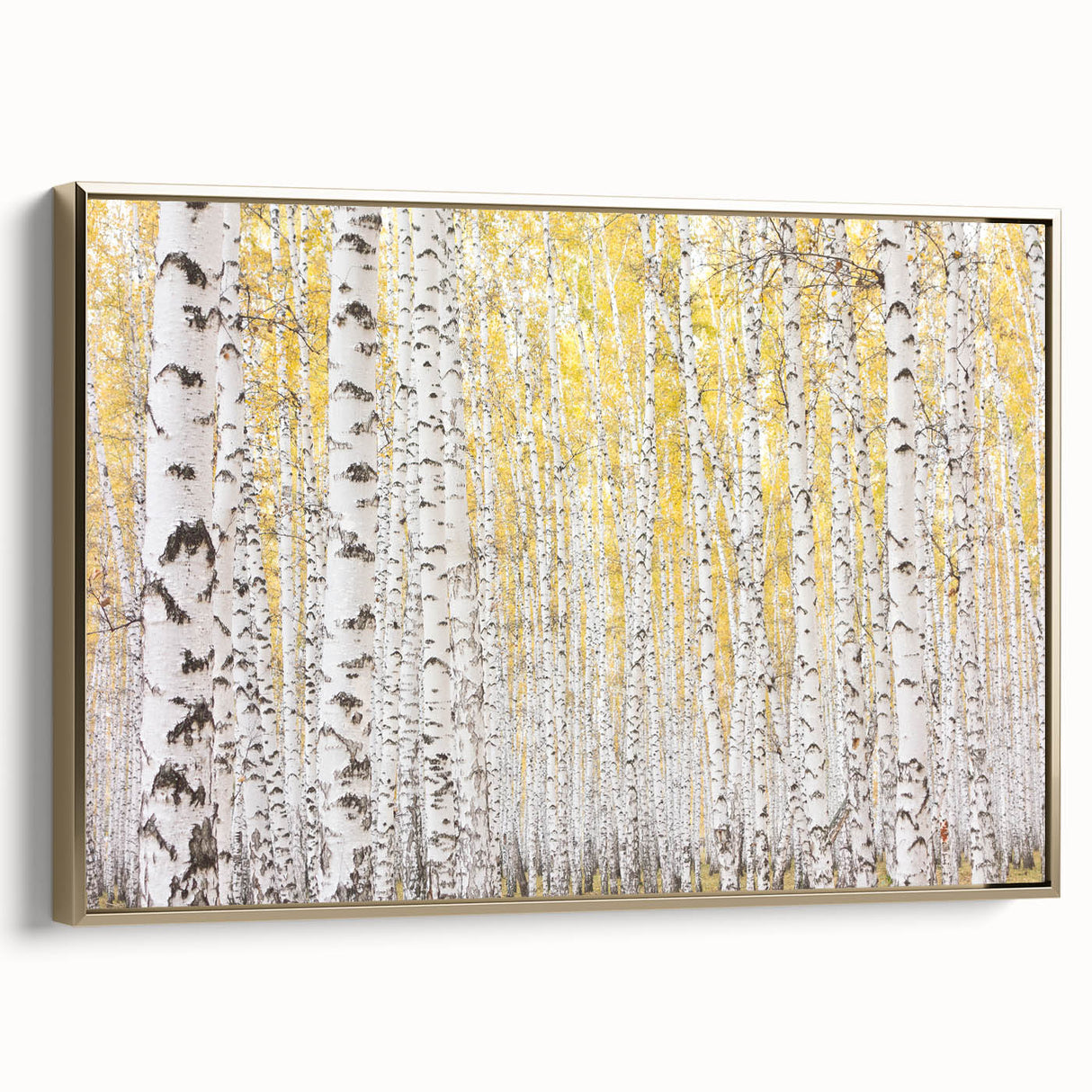 Canvas Art for Dining Area – Serene Birch Tree Forest Wall Decor
