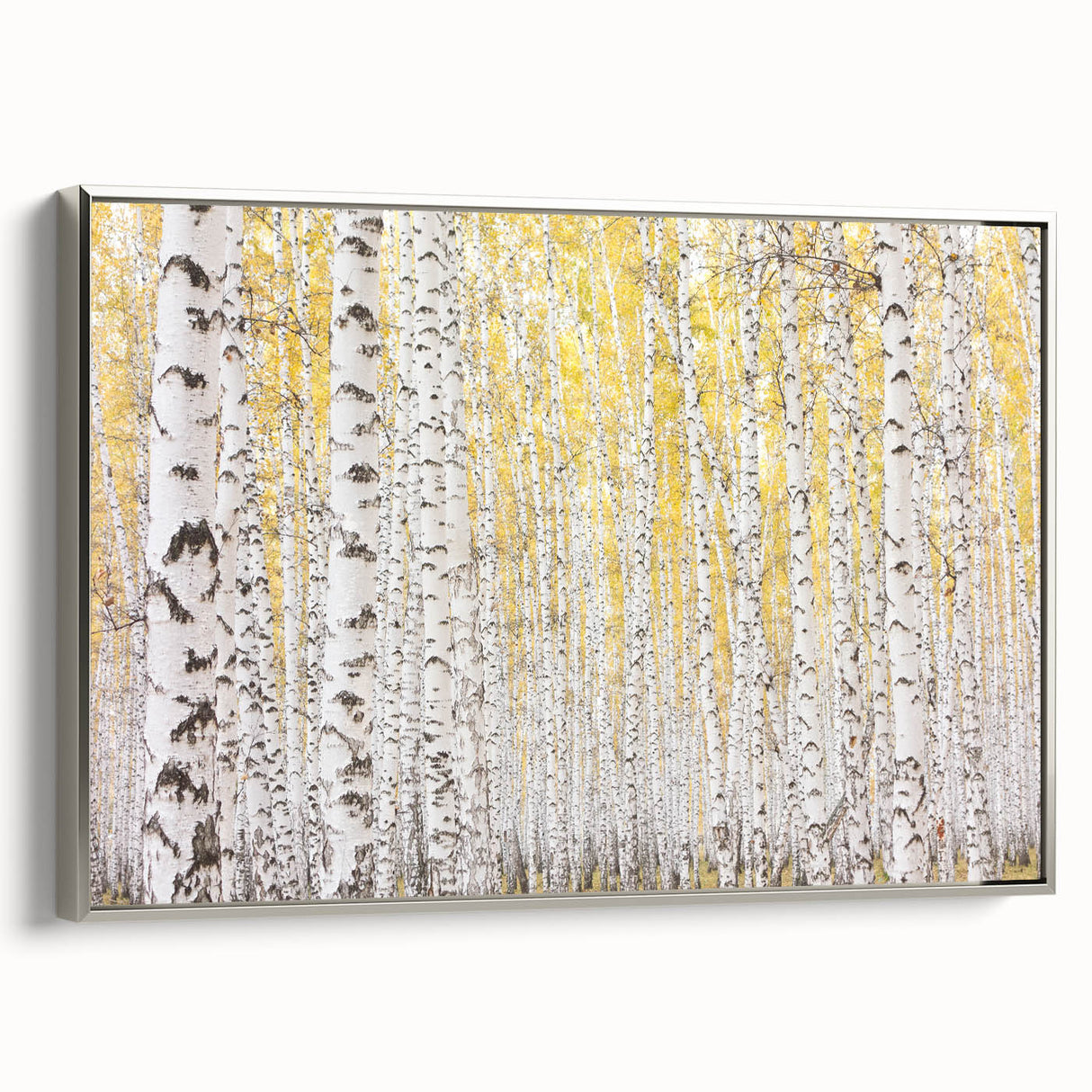 Canvas Art for Dining Area – Serene Birch Tree Forest Wall Decor