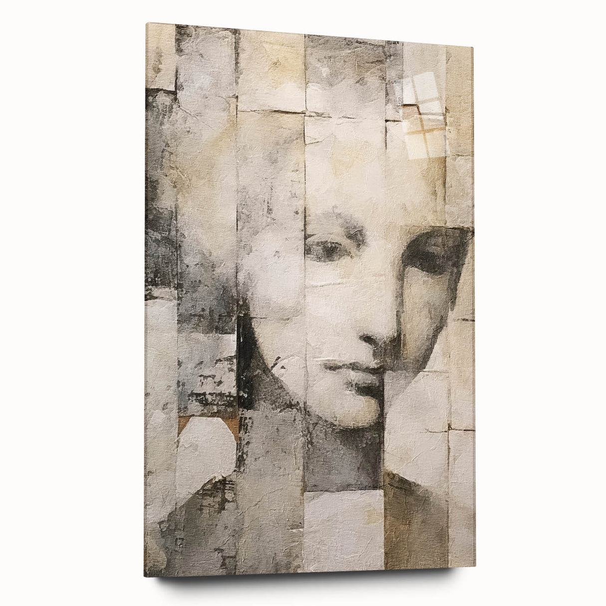 Abstract figurative wall art displayed in an acrylic glass frame, showcasing vibrant colors and dynamic shapes, ideal for modern home decor and artistic accent pieces.
