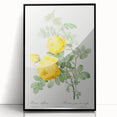 18th Century Neoclassicism Greco-Roman Yellow Rose Art Print