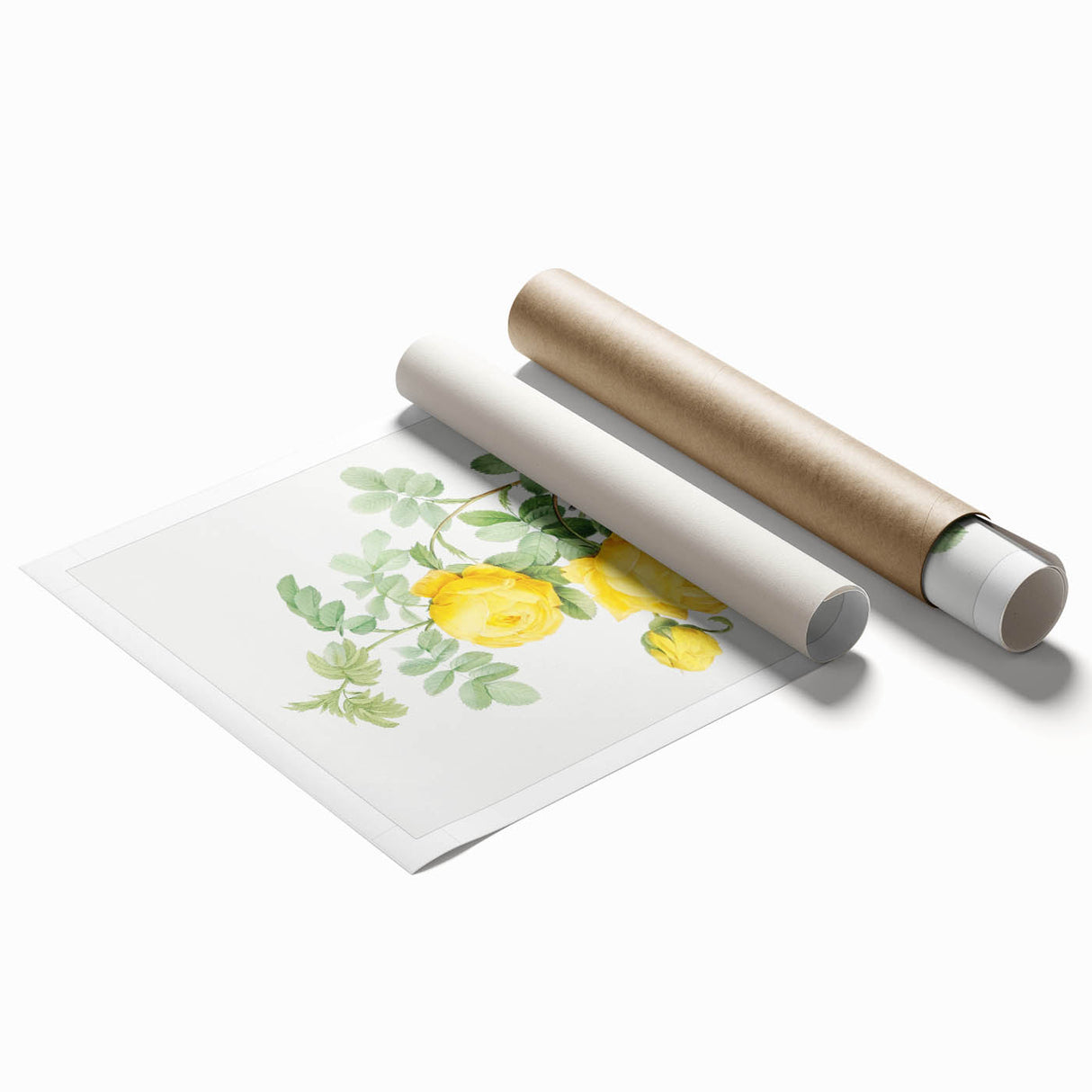 18th Century Neoclassicism Greco-Roman Yellow Rose Art Print