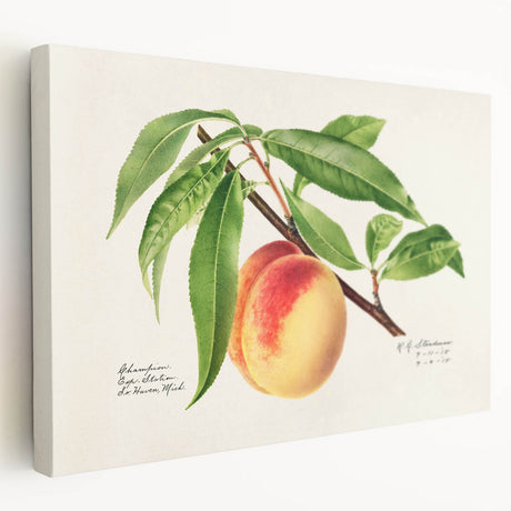 Large canvas featuring a colorful array of assorted fruits, ideal for kitchen wall art.