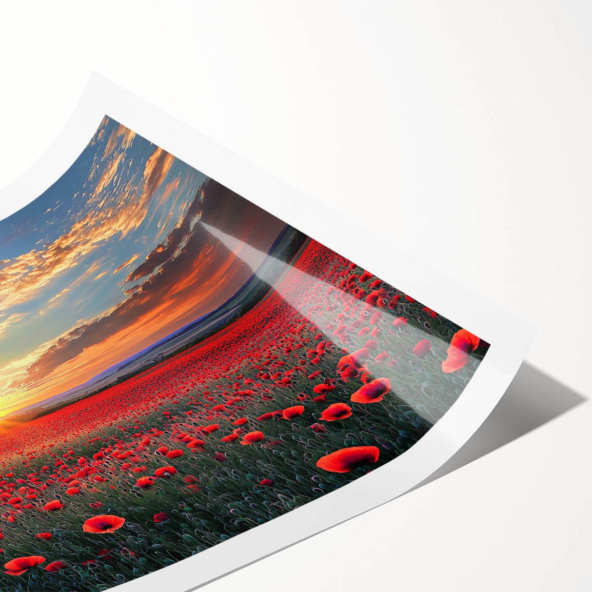 Vibrant rolled print of a serene landscape featuring lush green fields under a clear blue sky, packaged securely in a protective cardboard tube for delivery.