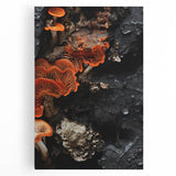 Black and white close-up photo of natural elements on stretched canvas, suitable for kitchen wall art.