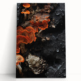 Black and white close-up photo of natural elements on a stretched canvas, ideal for kitchen wall art.