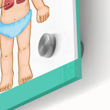 STEM Learning Wall Art - Respiratory System Educational Chart