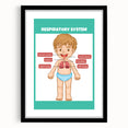 STEM Learning Wall Art - Respiratory System Educational Chart