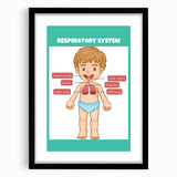 STEM Learning Wall Art - Respiratory System Educational Chart