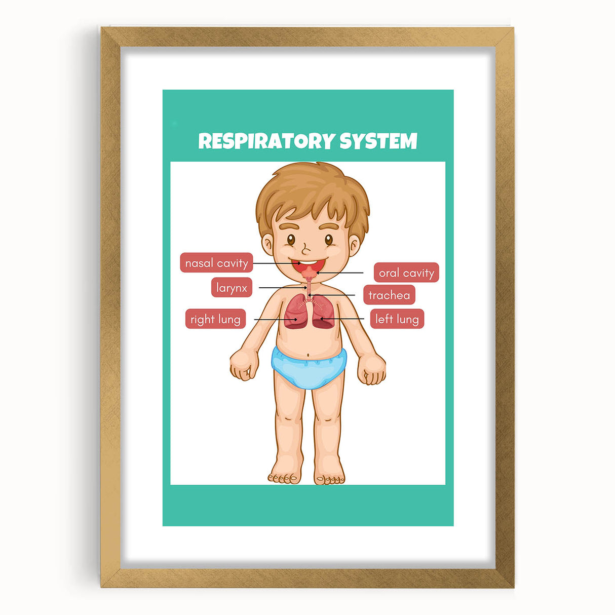 STEM Learning Wall Art - Respiratory System Educational Chart