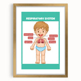 STEM Learning Wall Art - Respiratory System Educational Chart