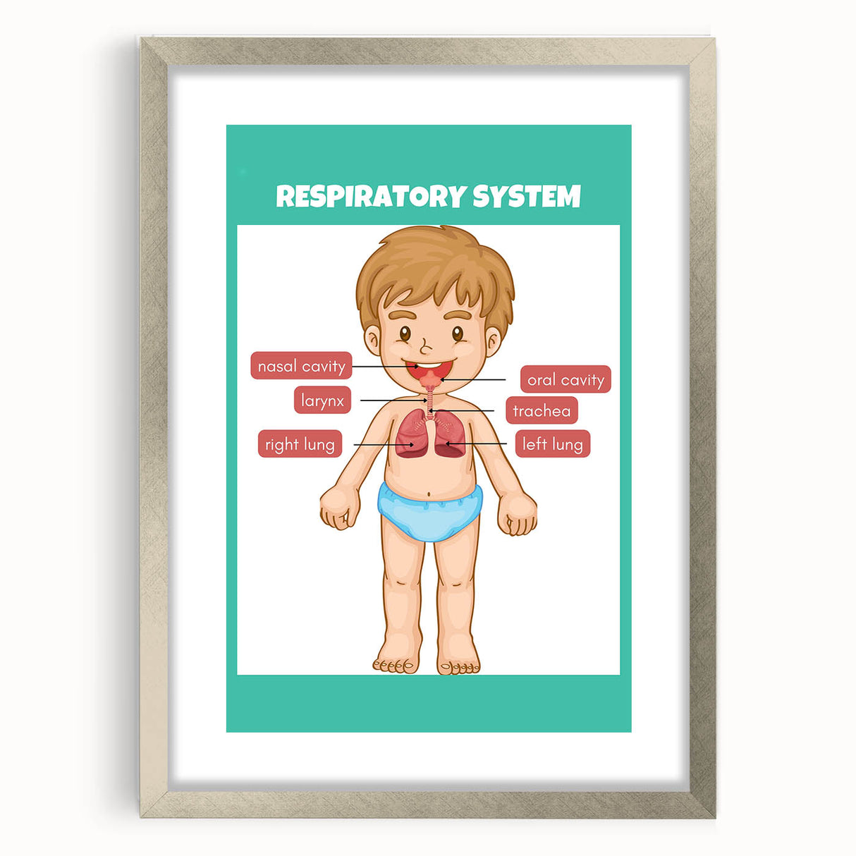 STEM Learning Wall Art - Respiratory System Educational Chart