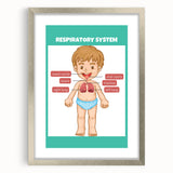 STEM Learning Wall Art - Respiratory System Educational Chart