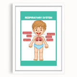 STEM Learning Wall Art - Respiratory System Educational Chart