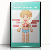 STEM Learning Wall Art - Respiratory System Educational Chart