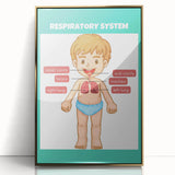 STEM Learning Wall Art - Respiratory System Educational Chart