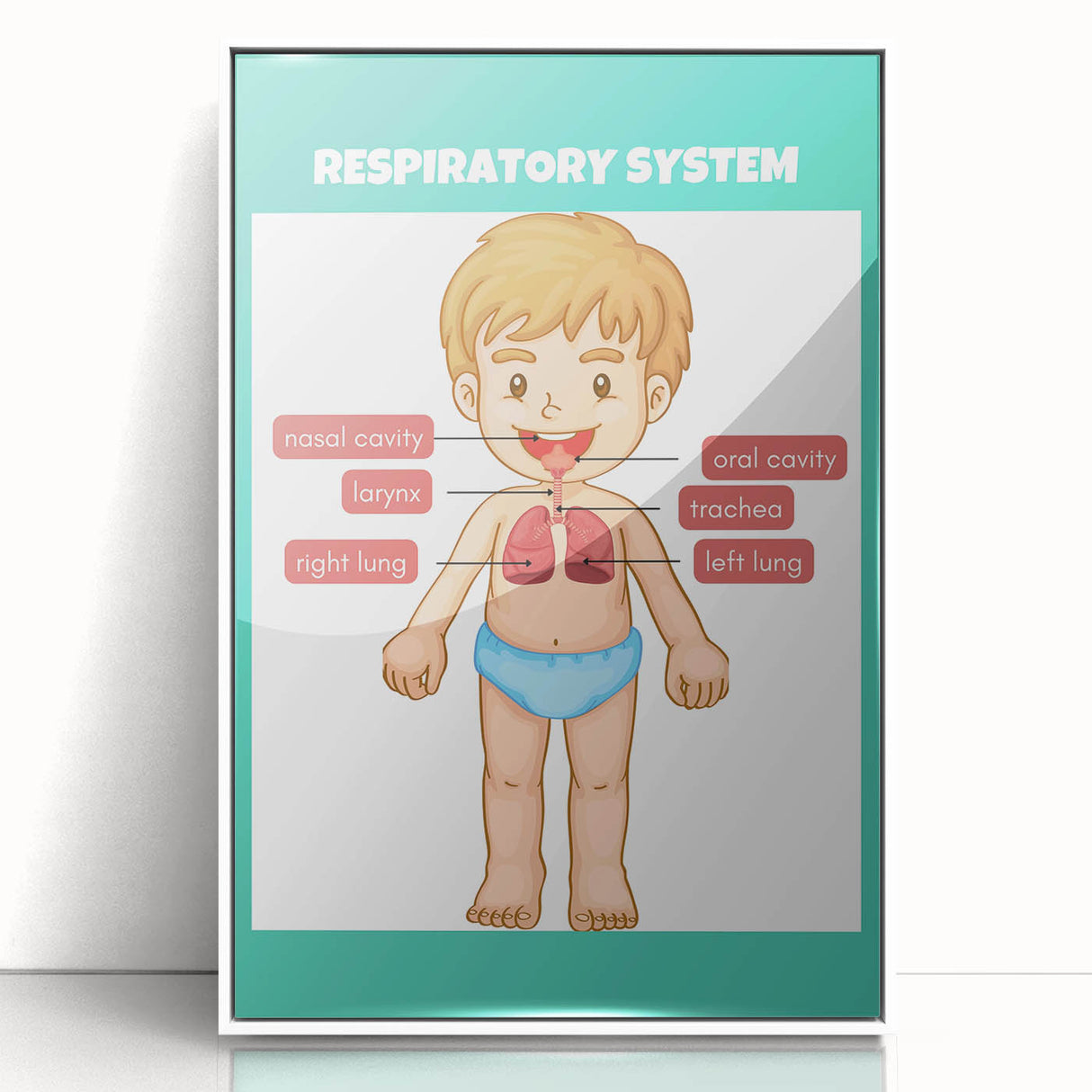 STEM Learning Wall Art - Respiratory System Educational Chart
