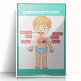 STEM Learning Wall Art - Respiratory System Educational Chart
