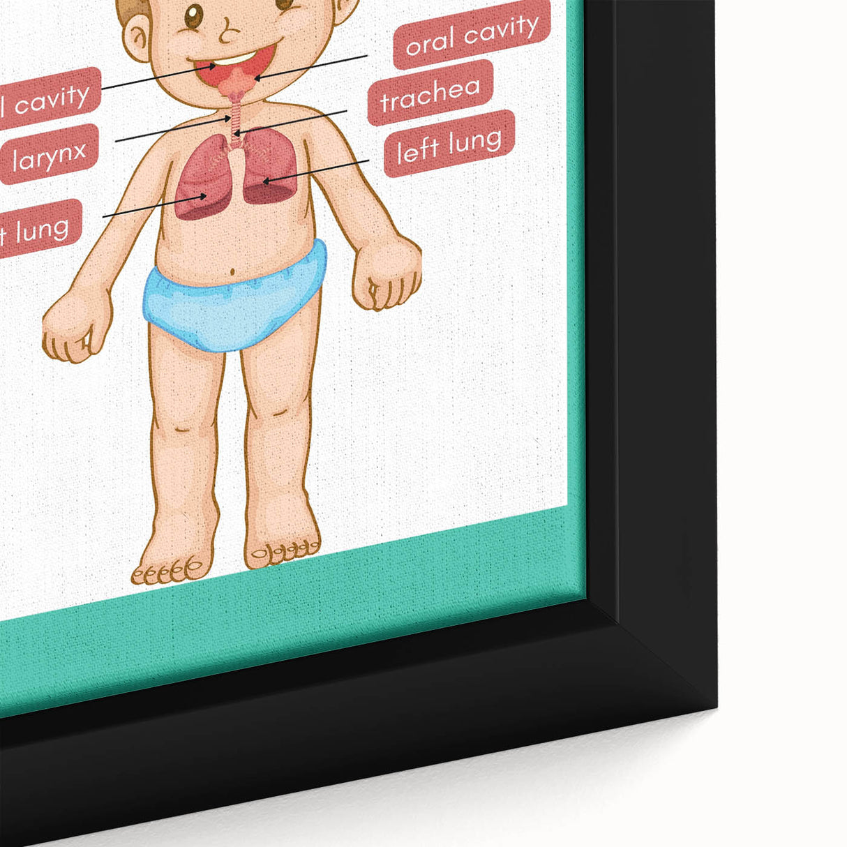 STEM Learning Wall Art - Respiratory System Educational Chart