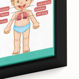 STEM Learning Wall Art - Respiratory System Educational Chart