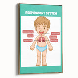 STEM Learning Wall Art - Respiratory System Educational Chart
