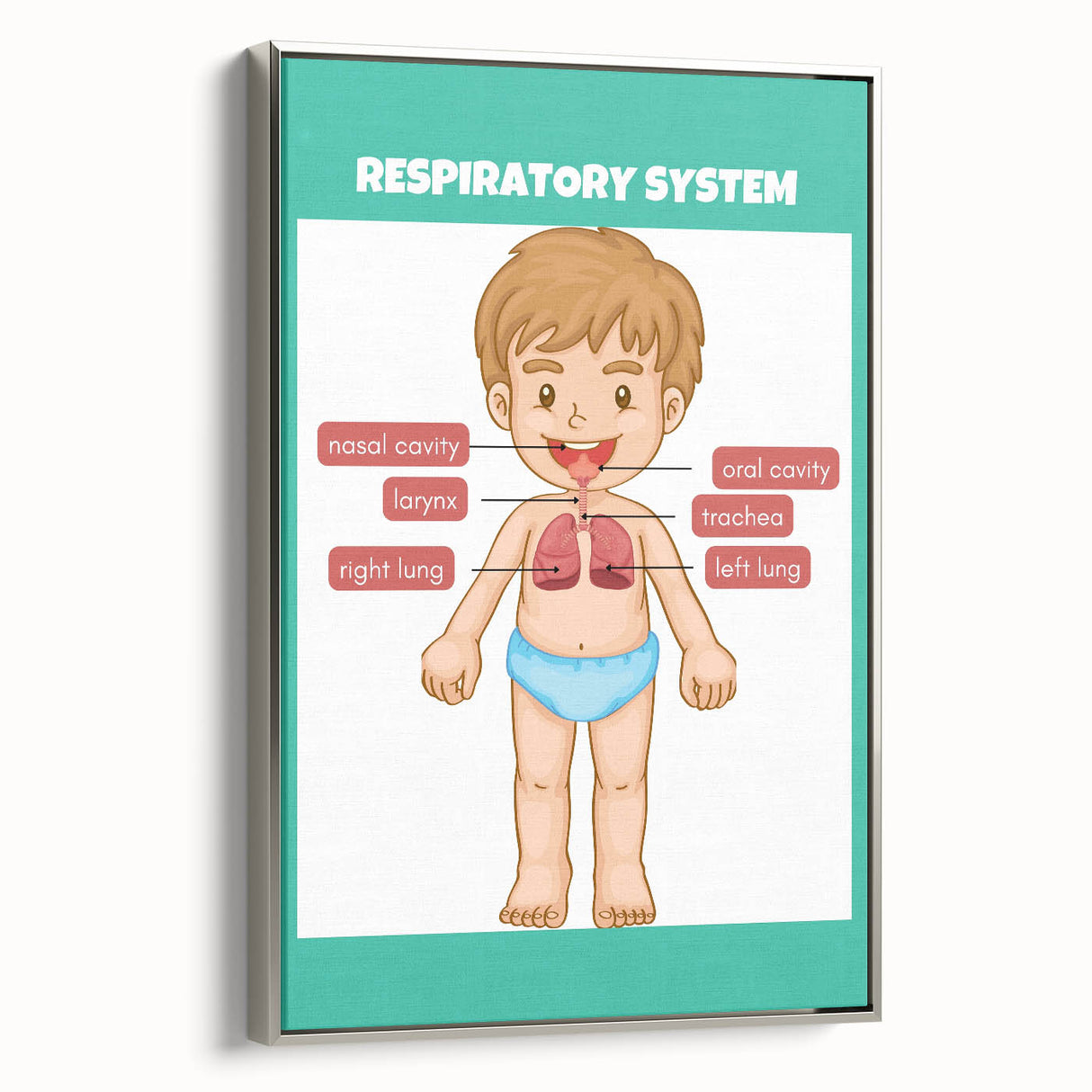 STEM Learning Wall Art - Respiratory System Educational Chart