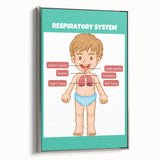 STEM Learning Wall Art - Respiratory System Educational Chart