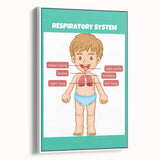STEM Learning Wall Art - Respiratory System Educational Chart