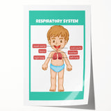 STEM Learning Wall Art - Respiratory System Educational Chart